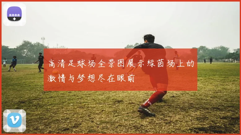 高清足球场全景图展示绿茵场上的激情与梦想尽在眼前