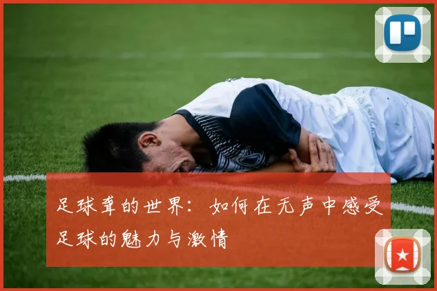 足球聋的世界：如何在无声中感受足球的魅力与激情