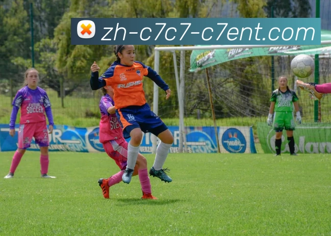 App界面